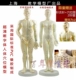 Zhengjie Model 50 см. Мужчина 1 человек 1