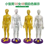 15 -Year -Sold Shop Ten Colors Бесплатная доставка прозрачно