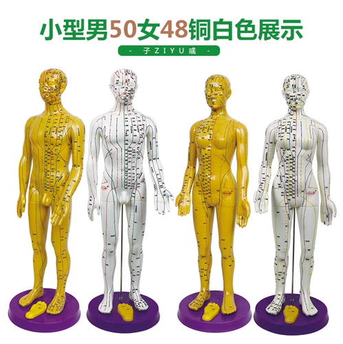 15 -Year -Sold Shop Ten Colors Бесплатная доставка прозрачно