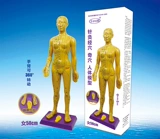 15 -Year -Sold Shop Ten Colors Бесплатная доставка прозрачно