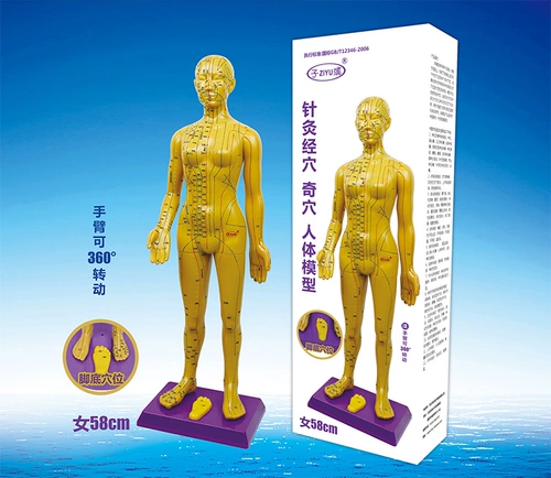 15 -Year -Sold Shop Ten Colors Бесплатная доставка прозрачно