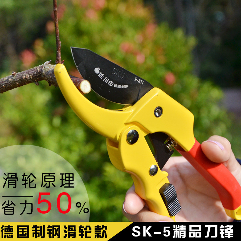 Cut Branches Scissors Fruit Trees Pruning Twigs Scissors Floral Art Scissors Green Garden Prunes Prickly Cut Prickly Pepper Gardening Coarse Scissors