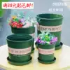 Universal Galen basin Resin plastic flower pot Clearance balcony Vegetable artifact Flower multi-meat creative small flower pot tray