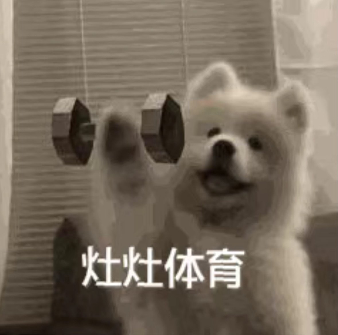 灶灶体育 十一年专注正品