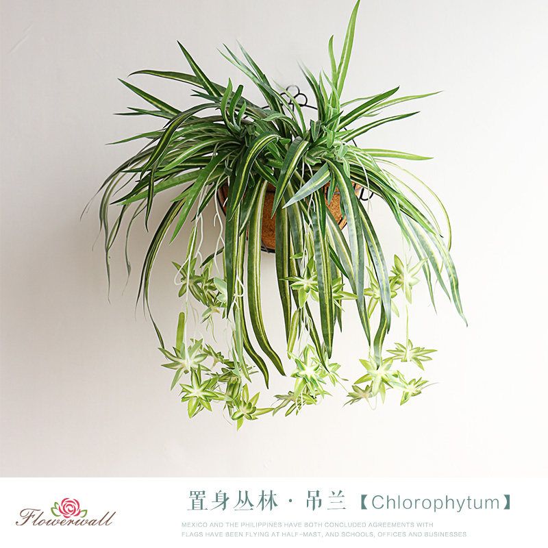 Simulated green plant fake green leaf wall hanging indoor hanging potted flower canopy green plant decorated hanging hanging basket flower art
