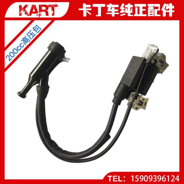 Carding Car High Pressure Pack Ignition Coil 200cc270 Private engine accessories petrol engine accessories