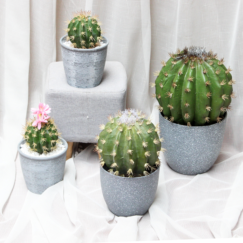 Simulation cactus fairy column Nordic ins fake cactus plastic plant bonsai potted plant decoration combination set