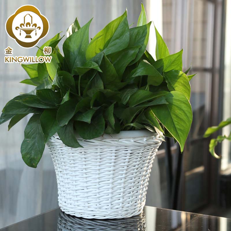 Golden willow garden mini flower pot Rattan flower vase Balcony fleshy flower pot Flower basket Office desk small flower pot