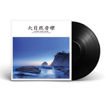 Spot Nature Light Music Snow Dream Pure Music Light Music 12 inch Black Record LP