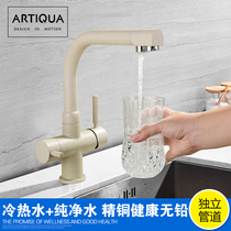 Lead-free all copper pure faucet hot and cold kitchen wash basin sink faucet black three-in-one direct drinking water faucet