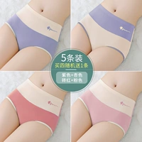 Группа C-Purple+Abricot Color+кирпичный красный+розовый+одна из той же модели (5 штук)