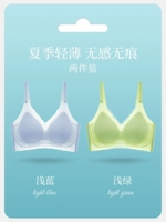 [Back Decuction] светло -голубой+светло -зеленый