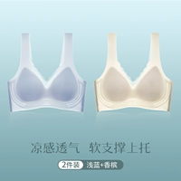 【Жилет】 светло -голубой+шампанское