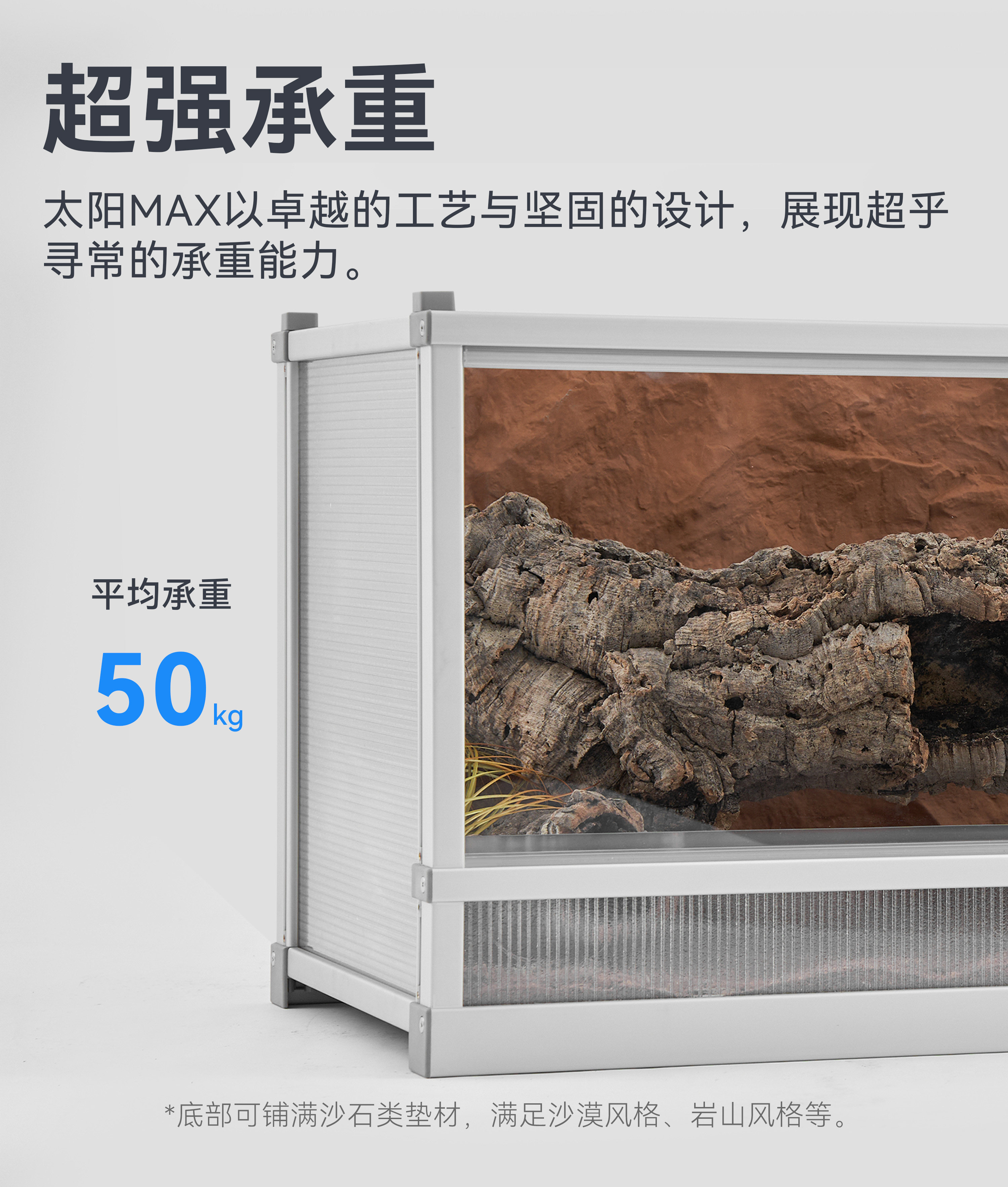 达芬奇黑洞太阳Max鬃狮蜥蜥蜴养宠物玉米蛇饲养缸爬宠专用饲养箱 detail 12