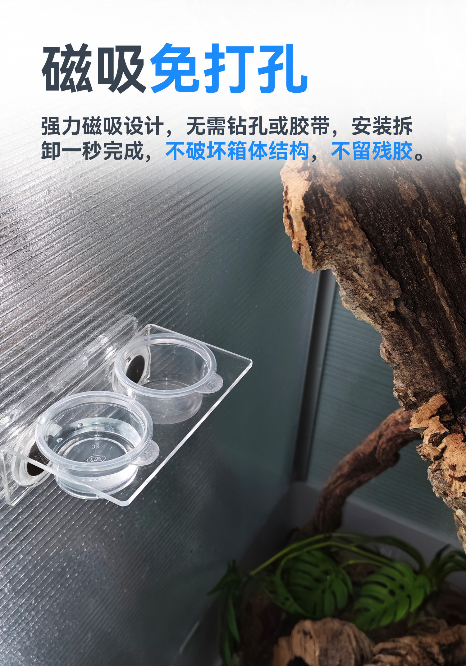 【达芬奇严选】悬浮磁吸水盆睫角水盆果泥盆树栖爬宠水盆 detail 3