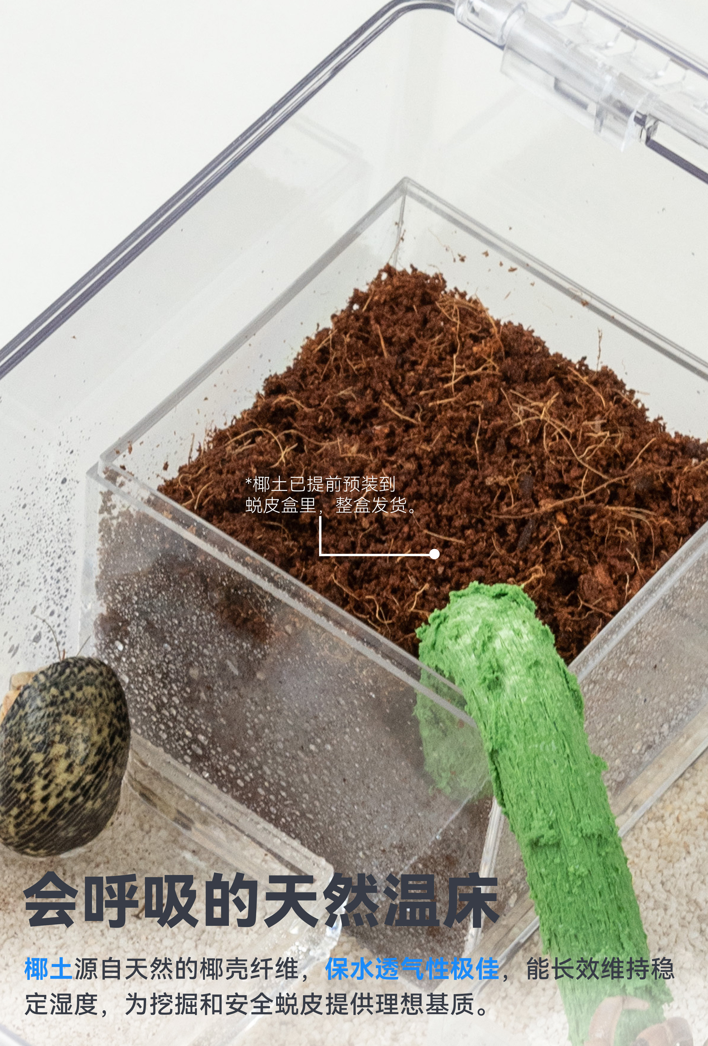 达芬奇黑洞 养寄居蟹饲养箱养殖套装宠物饲养盒子专用缸全套用品 detail 5