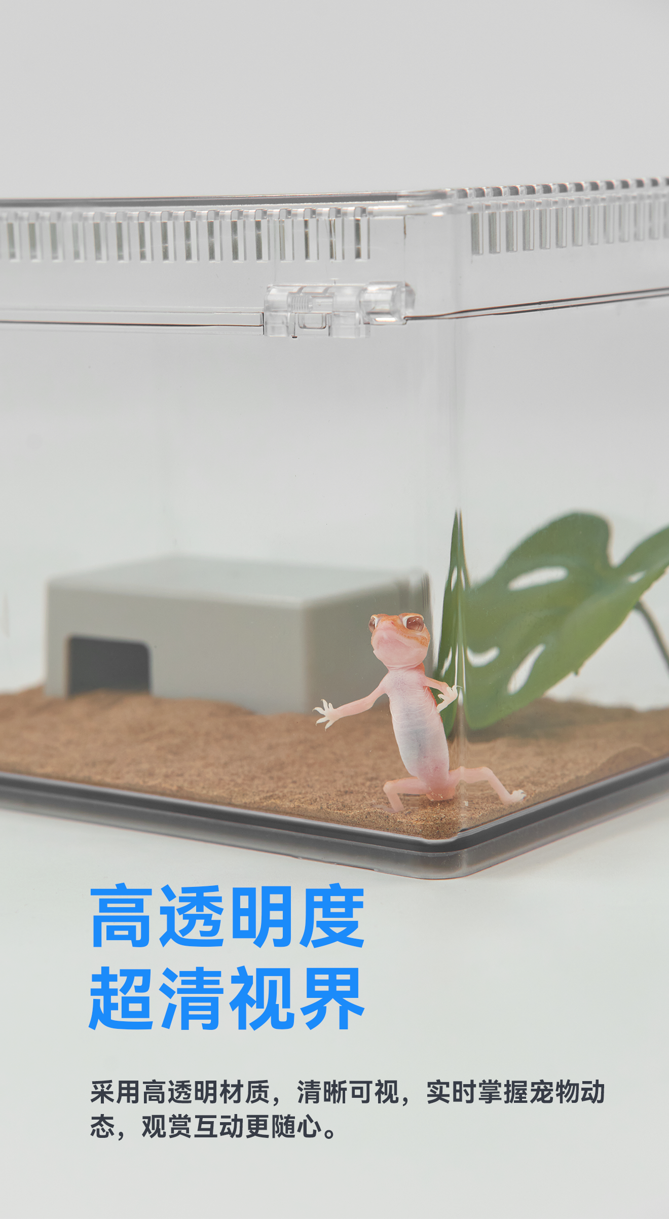 【新店】达芬奇黑洞高透宠物爬宠饲养盒寄居蟹乌龟昆虫人渣盒 detail 6