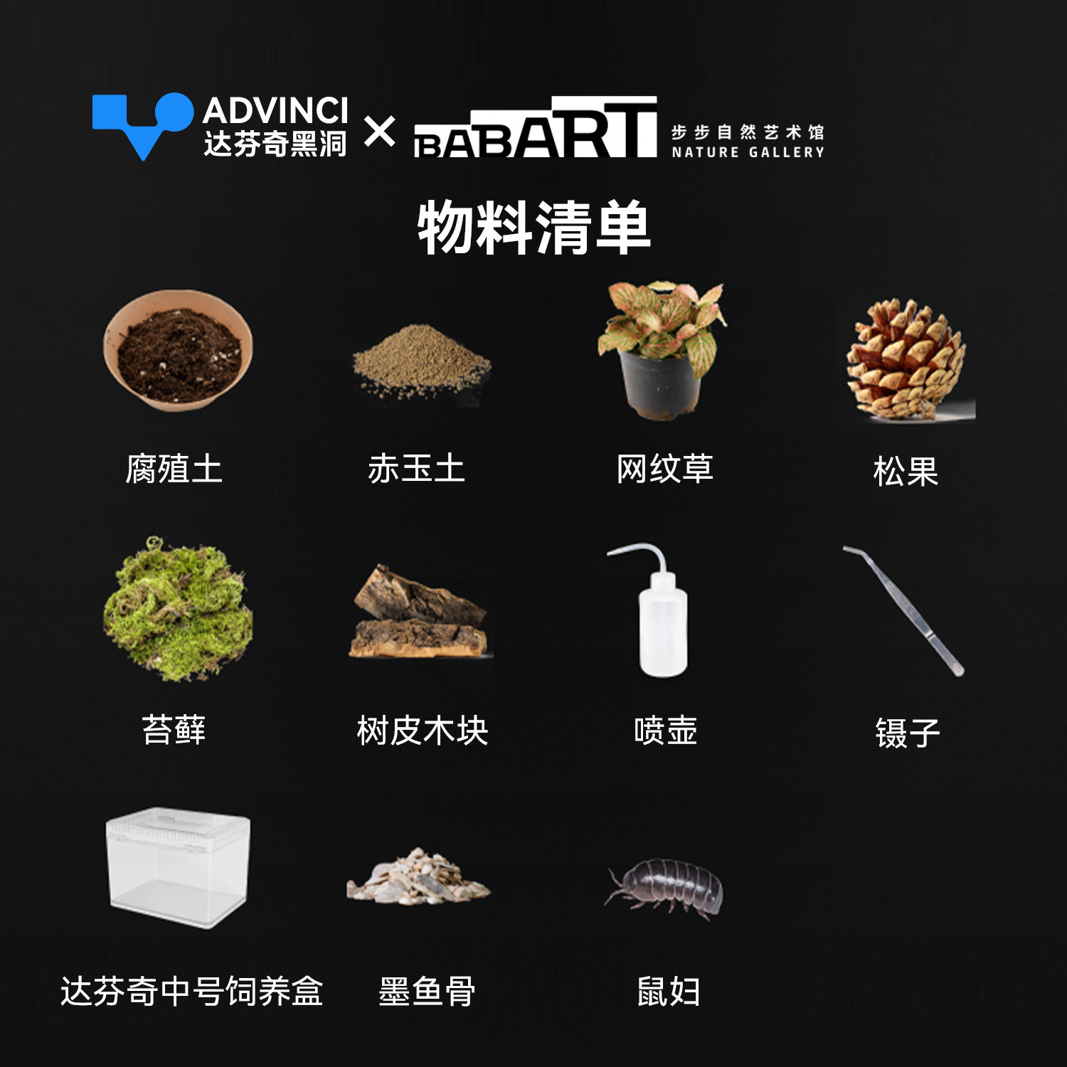【达芬奇严选】鼠妇饲养套装饲养盒生态缸 detail 5