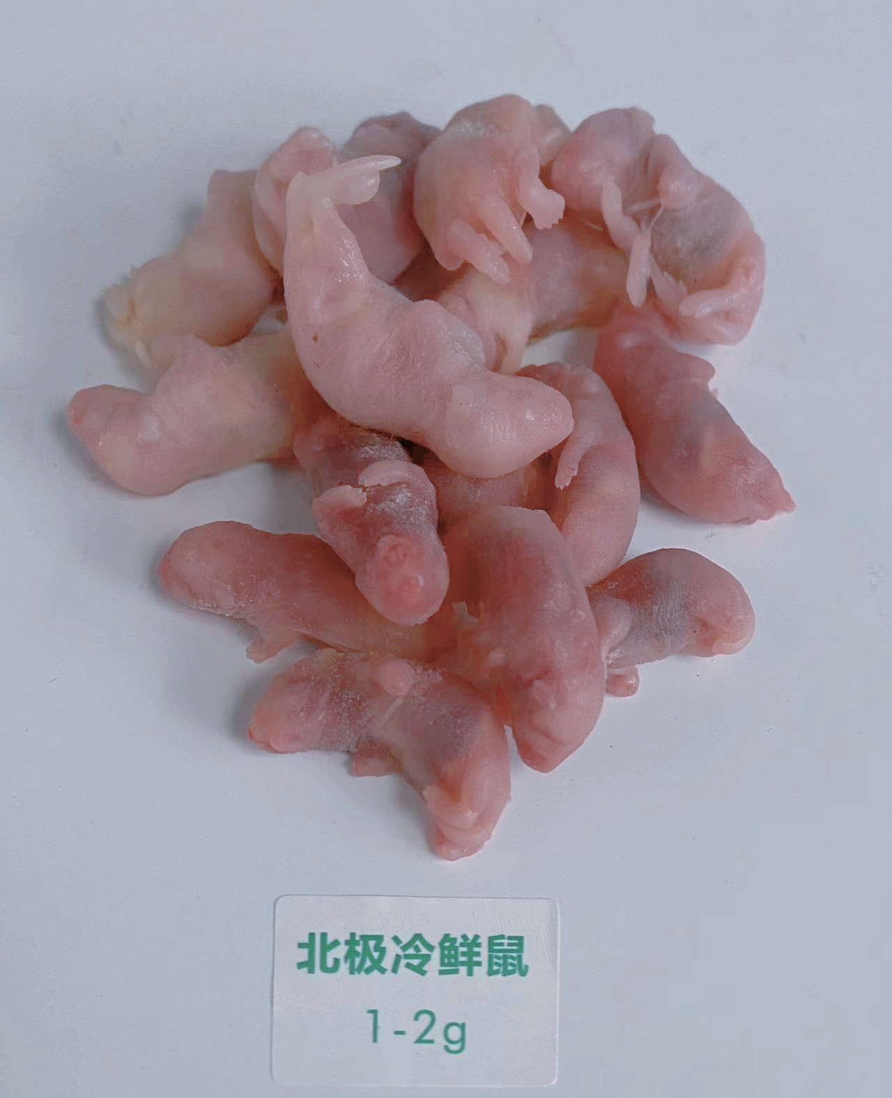 北极冷鲜鼠 冰冻小白鼠 爬宠冻老鼠乳鼠白霜红皮跳跳宠物蛇食物鼠 detail 2
