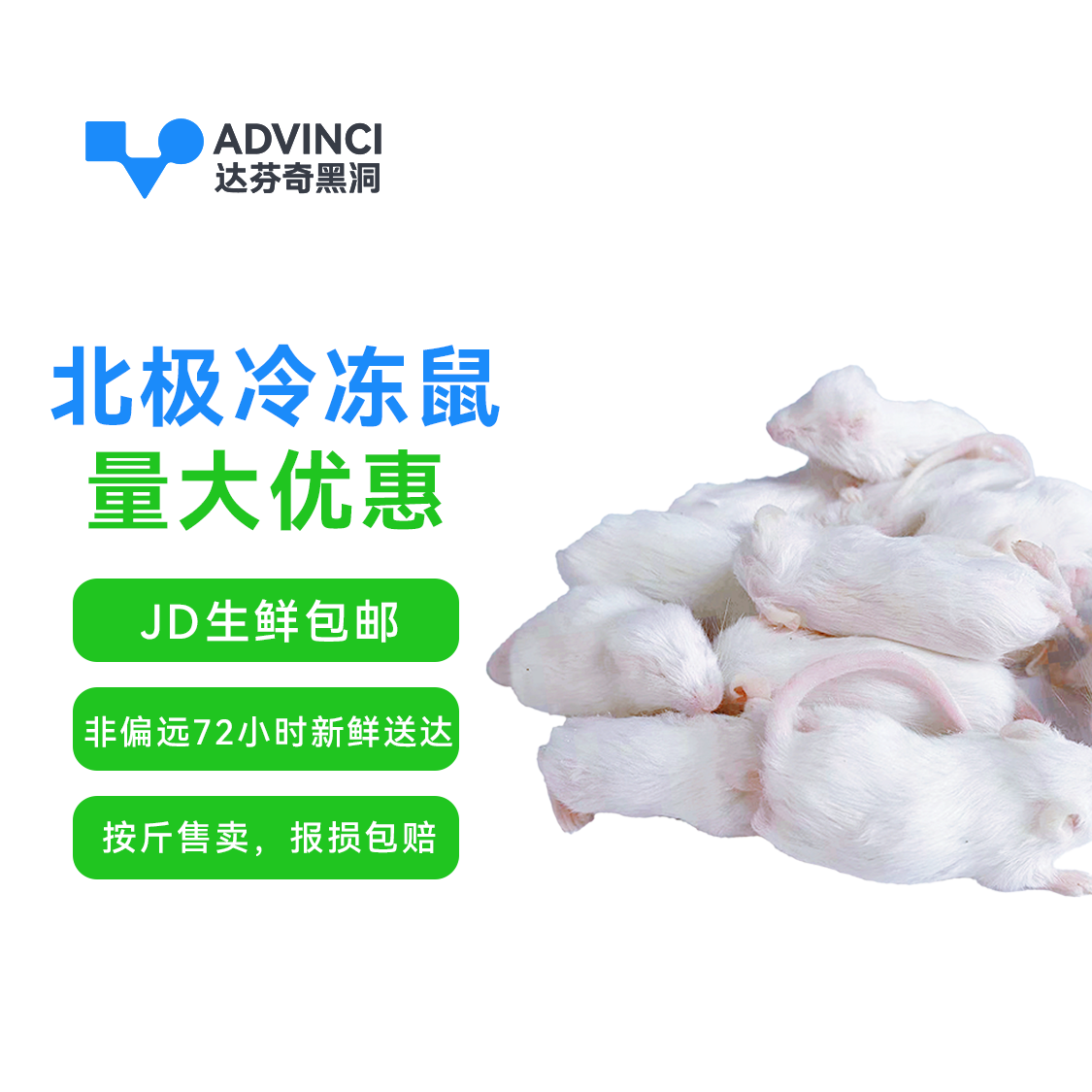 饲料冰冻小白鼠 散装称重 红皮 粉皮 白霜 乳鼠 蛇饲料喂猫龟龙鱼 detail 1