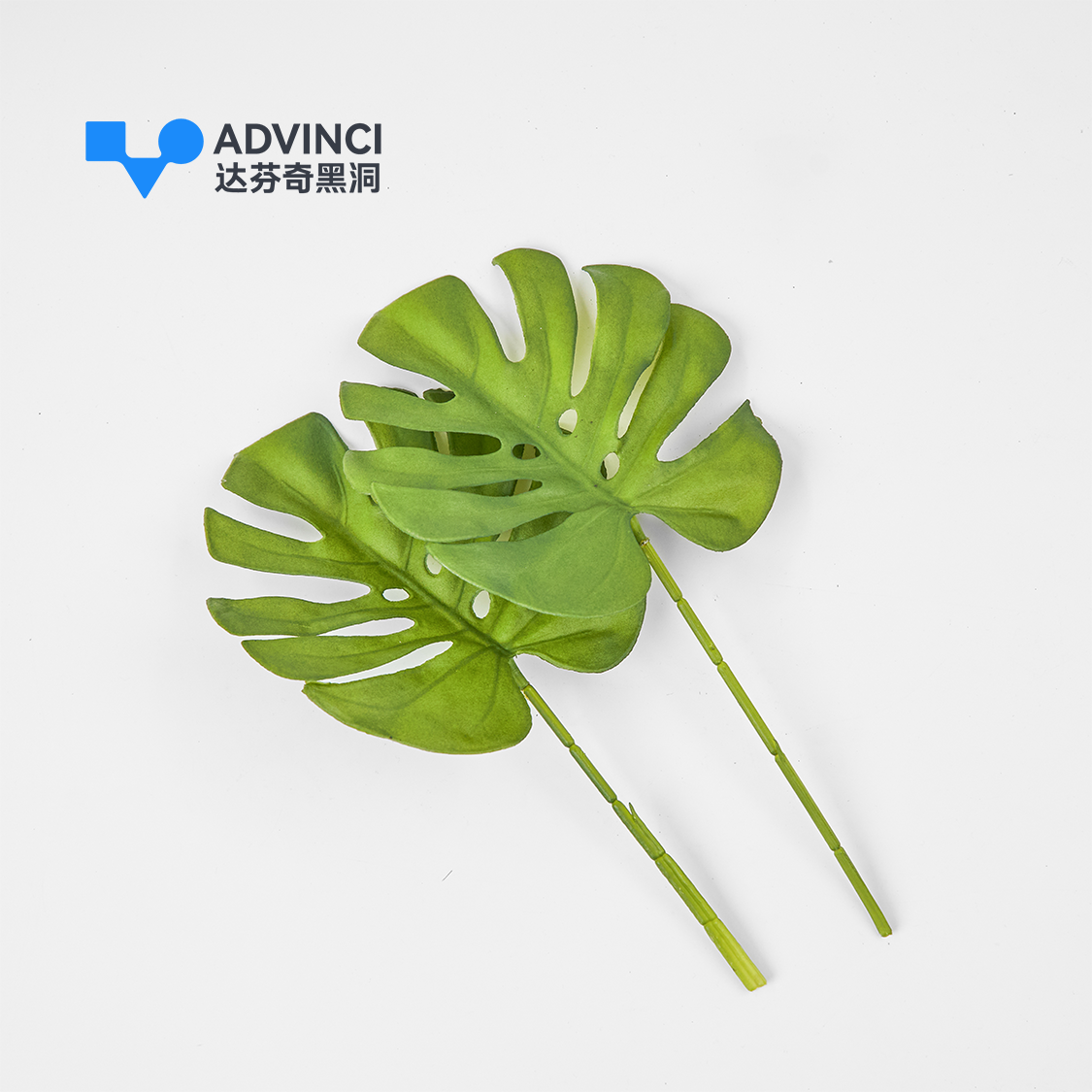 【达芬奇严选】爬宠仿真植物 detail 2