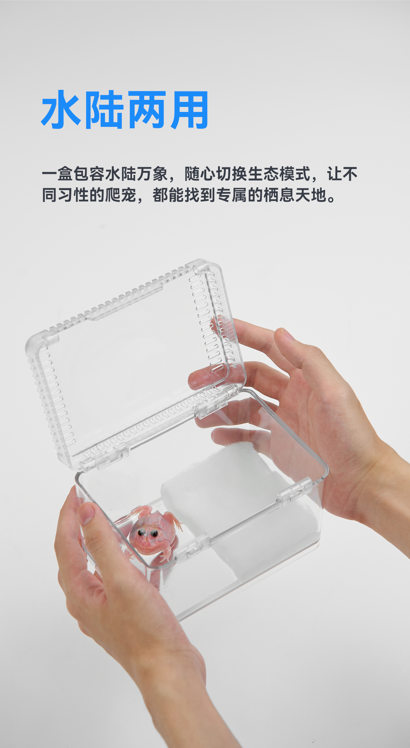 【新店】达芬奇黑洞高透宠物爬宠饲养盒寄居蟹乌龟昆虫人渣盒 detail 7