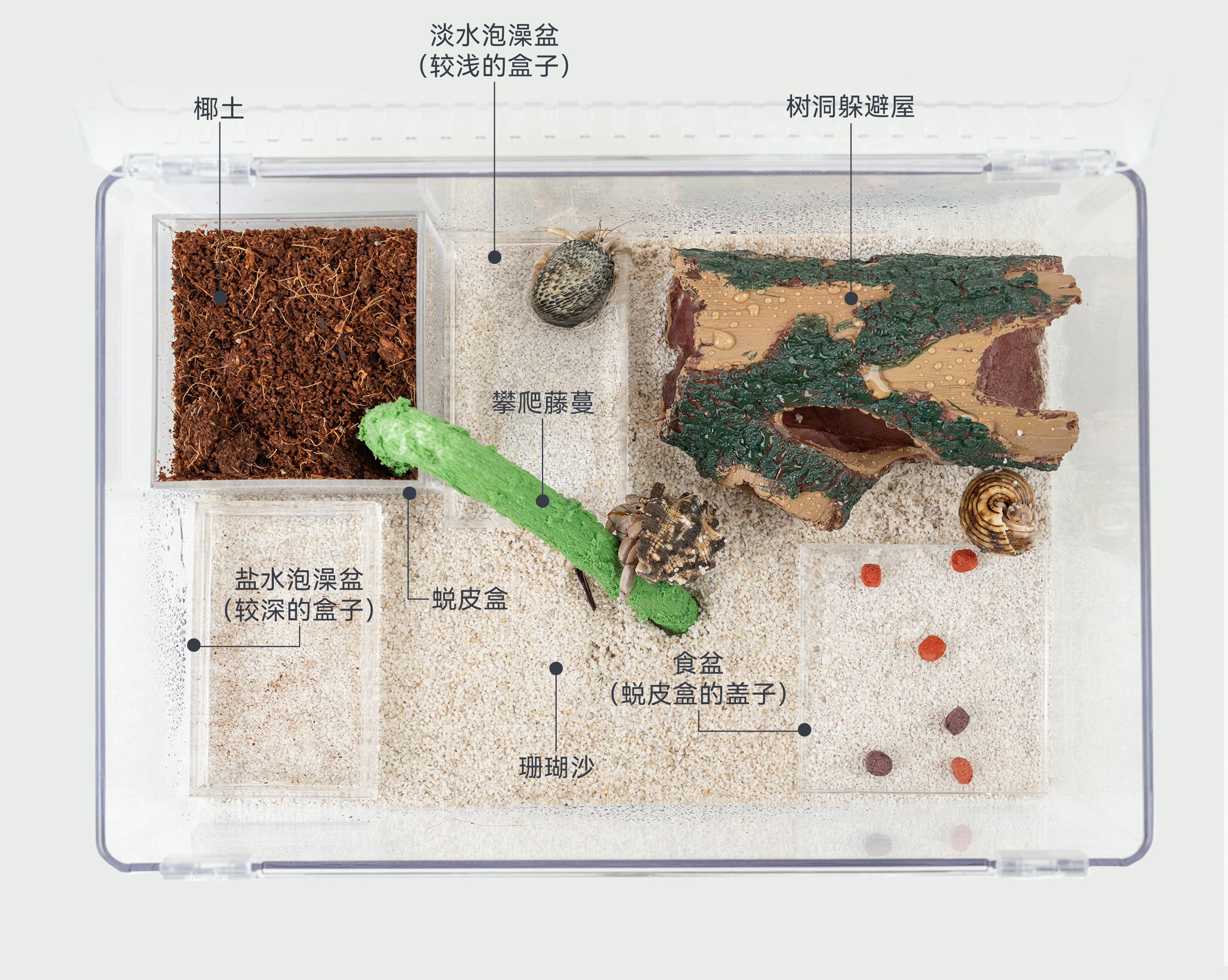 达芬奇黑洞 养寄居蟹饲养箱养殖套装宠物饲养盒子专用缸全套用品 detail 3