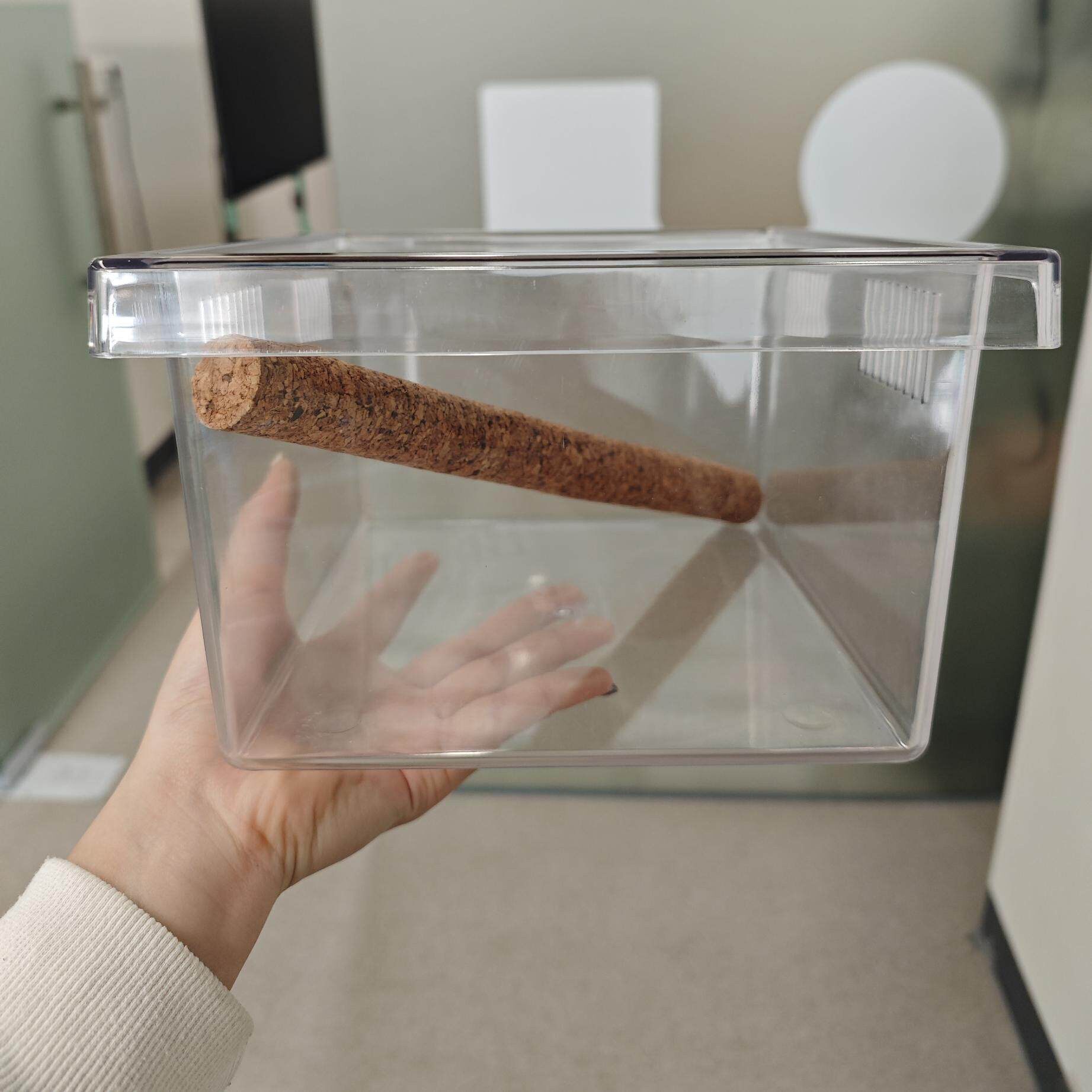 达芬奇黑洞爬宠睫角巨人造景攀爬软木棒变色龙盖勾压熟悉守宫攀爬 detail 3