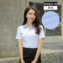 Summer Lady Short Sleeve Shirt Blue Invisible Striped Business Tooling Shirt Woman To Work Professional Dress Half Sleeve Undershirt
