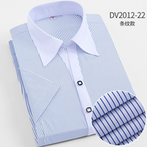 Summer slim fit short sleeve shirt lady white collar V collar blue striped business casual professional dress commuter ol