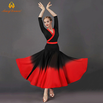 Amy dance dress Ballroom dance dress irregular collar swing modern dance practice dress High-end national standard dance performance suit