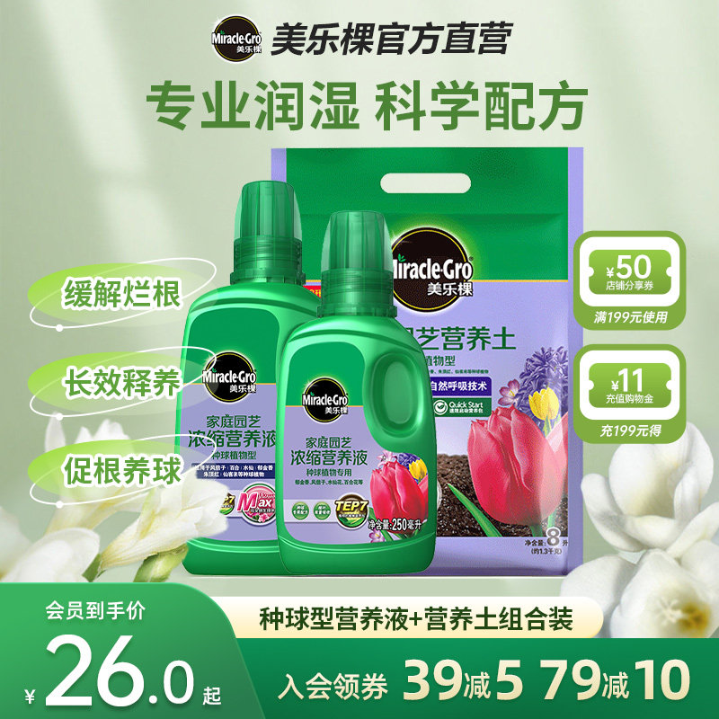 Mei Le Tree Ball Nutrition Domestic Pot Plant Zhu Tongfeng Xin Lily Lily Tulip Ball Root