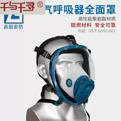 Yigu positive pressure air respirator Full cover Gas mask Air mask Air respirator accessories