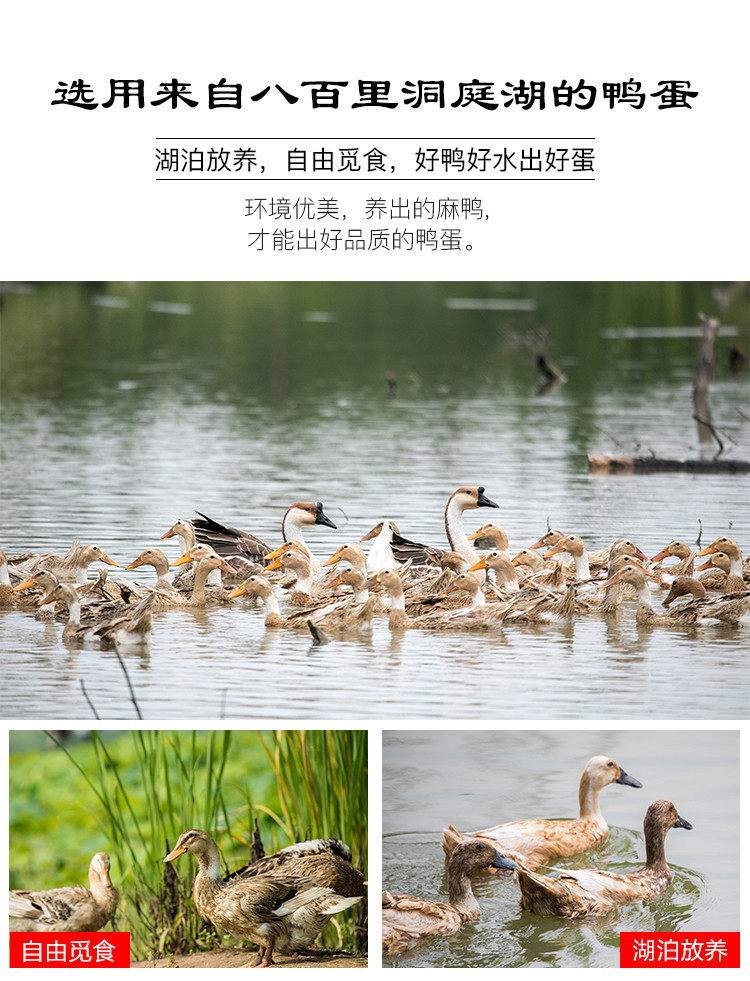 Jingjiang Songhua сохранил Egg_03.jpg