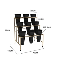 3*3 Золотая полка с 9 черными бочками