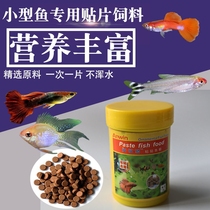 Anfu scale can patch feed tropical fish feed small fish food ornamental red and green lantern fish peacock feed