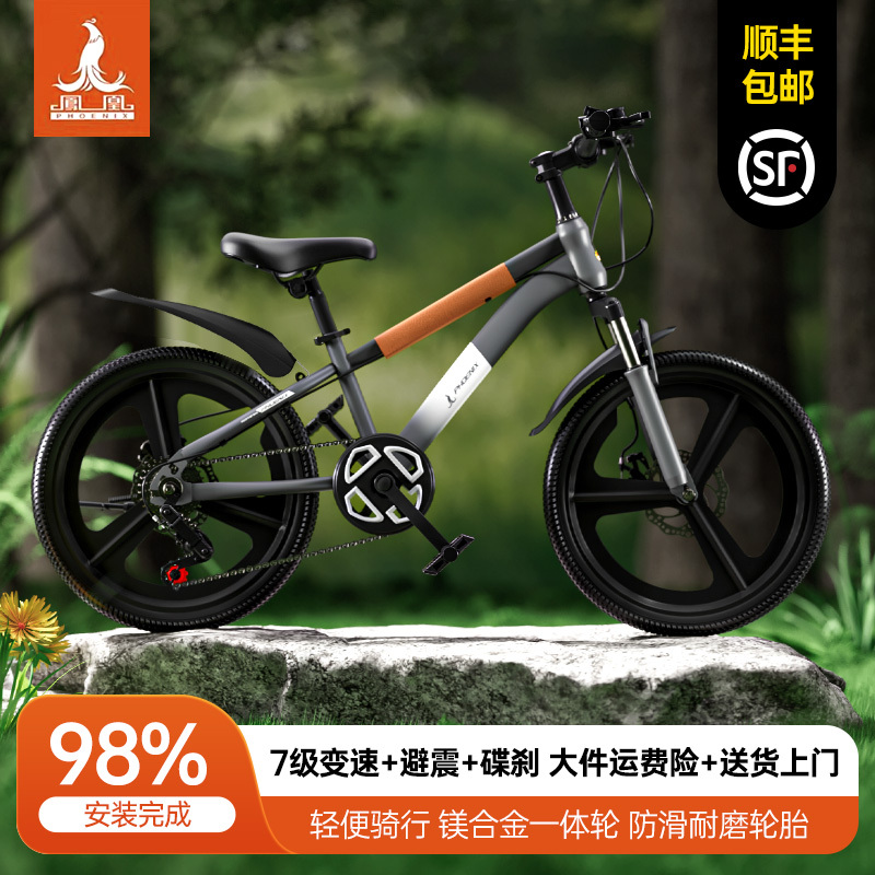 Phoenix Kidsren's Bicycle for Boys Aged 6-15, Mountain Bike with Disc Brakes and Variable Speed Gears, Gift for Primary School Students