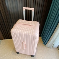 Роза розовая 