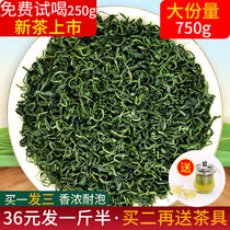 Green tea 2021 New tea Spring Tea Rizhao High Mountain High mountain cloud tea Maojian tea bulk bag flavor 500 grams