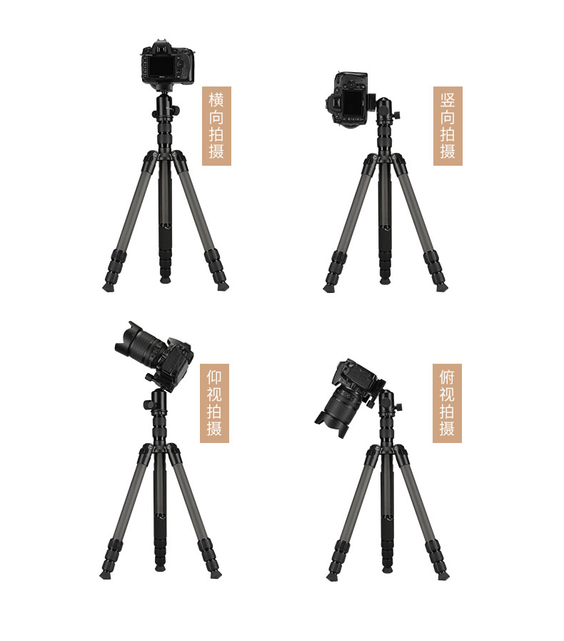 Weifeng C6626 sợi carbon chân máy xách tay SLR chuyên nghiệp đơn vi Canon chụp ảnh camera monopod thể đứng Nikon Sony điện thoại di động du lịch Carbon chân monopod - Phụ kiện máy ảnh DSLR / đơn tripod bạch tuộc