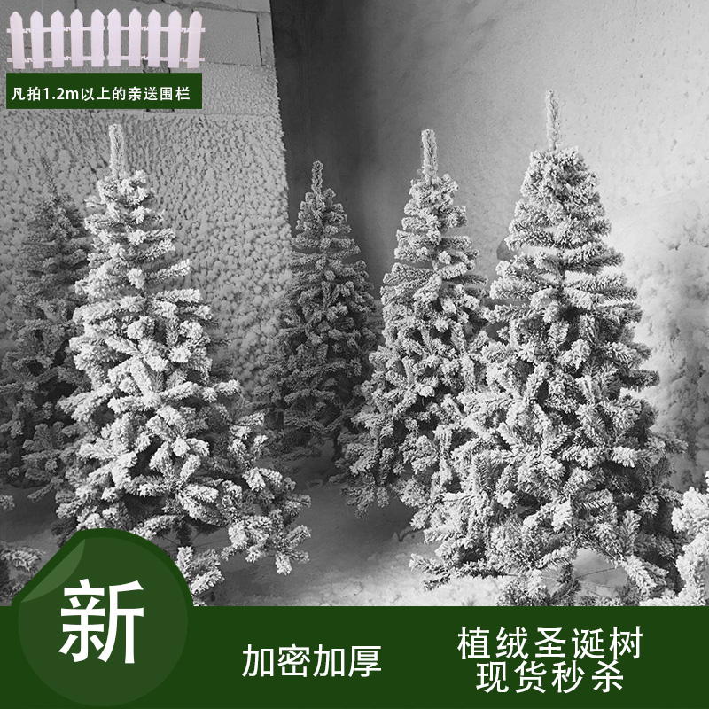 Christmas Christmas tree white flocking 1.5 m 1.8 m 2.1 m 3 m simulated spray cedar snow ice sculpture decoration