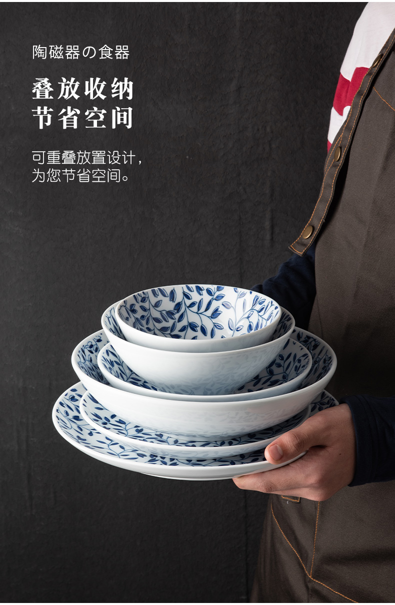 Japanese household food dish dehua white porcelain tableware platter maple ceramic bowl fish disk to use steak dishes dishes