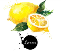 Japan lemon High-end mens business gift Single mens lemon
