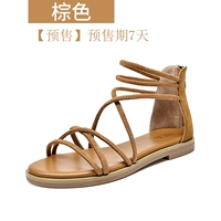 Brown Pre -sale в течение 7 дней
