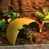 Маленькие домашние домашние животные, чтобы избежать пещерной охраны