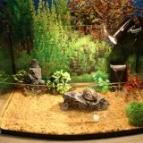 Танк Танка озеленение камень декоративный камень натуральный песчаный песчаный песок из камень песок водные коробки рыба рыба днит песок