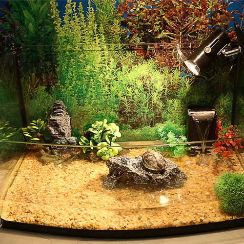 Танк Танка озеленение камень декоративный камень натуральный песчаный песчаный песок из камень песок водные коробки рыба рыба днит песок