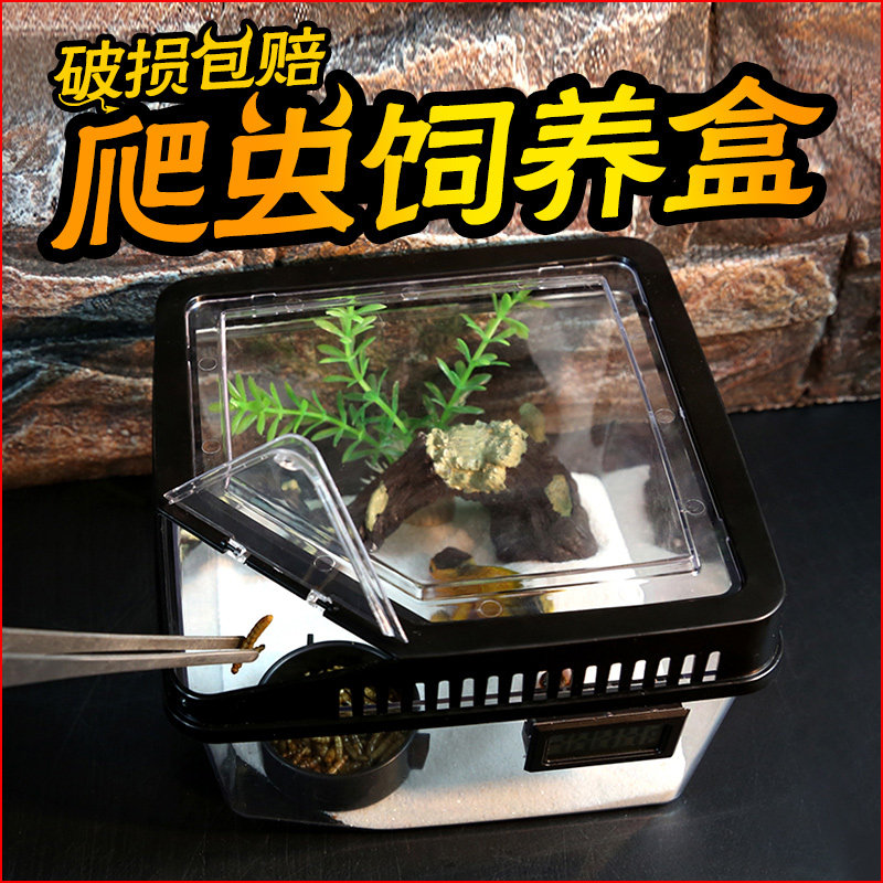 Small feeding box plastic transparent Scorpion Shougong lizard breeding box Tortoise insect song insect feeding box