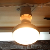 Reptoca поставляет UVA отопление огней с дисконтированным драконом, Luo Luo 鬣 Lizard изоляционные светильники Имитация японской световой матовой матовой