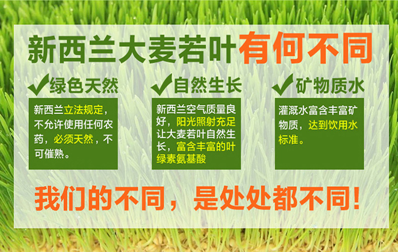 新西兰进口 Vitafit 大麦若叶 减肥代餐青汁粉 200g 图4
